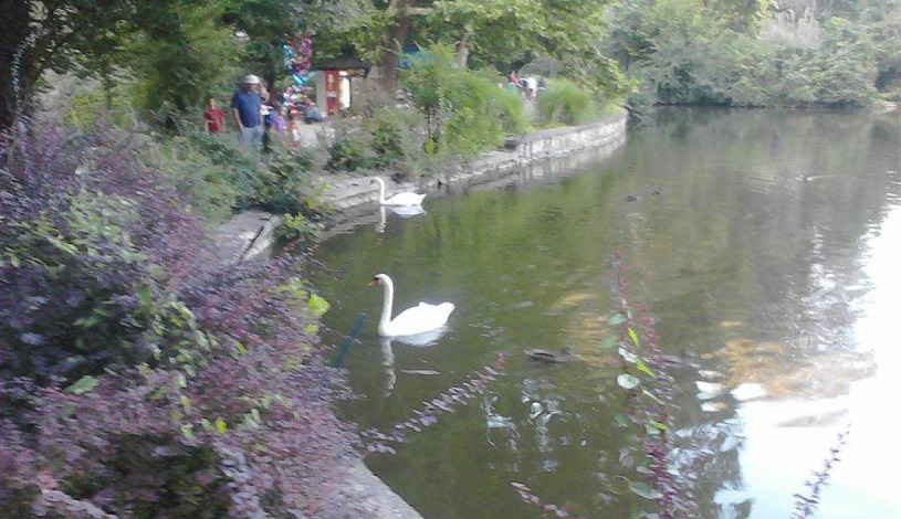 Apartment Maksimirska cesta Zagreb - Apt 34816