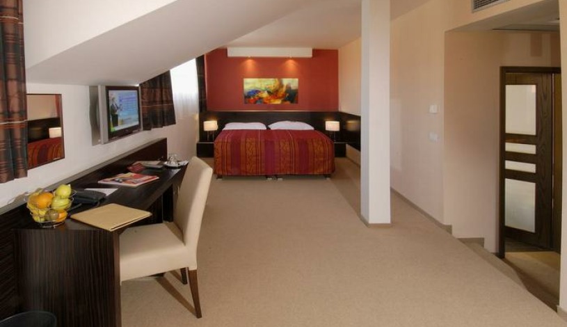 Hotel Manes Praha - Pokoj pro 2 osoby, Apartmá Junior