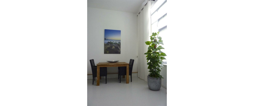 Apartment Marius van Bouwdijk Bastiaansestraat Amsterdam - Apt 34460