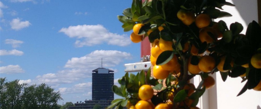 Apartment Mazā Krasta iela Riga - Apt 30181