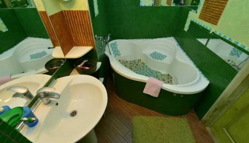 Apartment Mezhyhirska Kiev