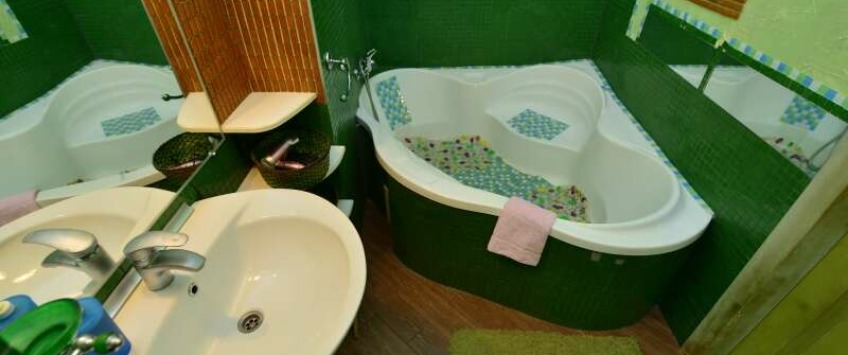 Apartment Mezhyhirska Kiev