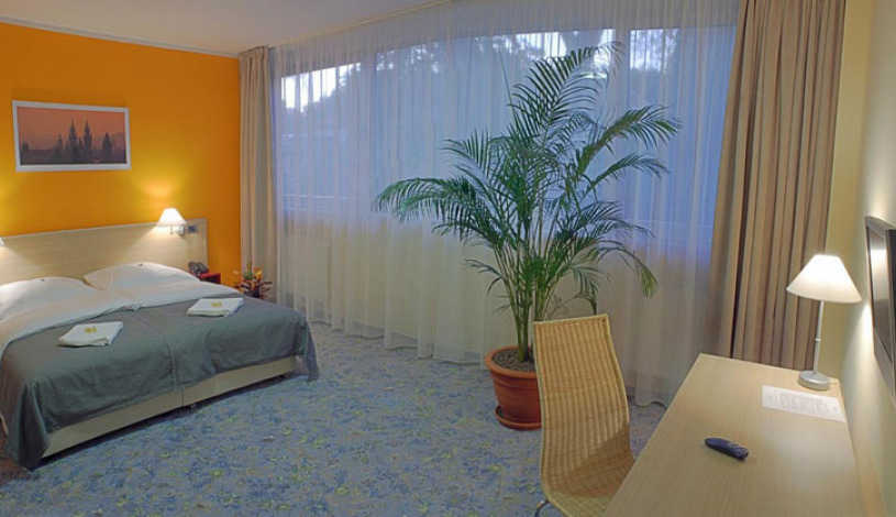 Hotel Michael Praha - 2-lůžkový pokoj Superior