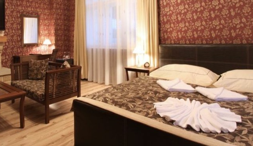 Hotel Villa Milada Praha - Pokoj pro 1 osobu, 2-lůžkový pokoj Deluxe