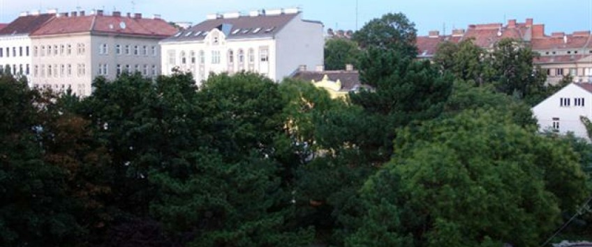 Apartment Missindorfstraße Wien - Apt 18852