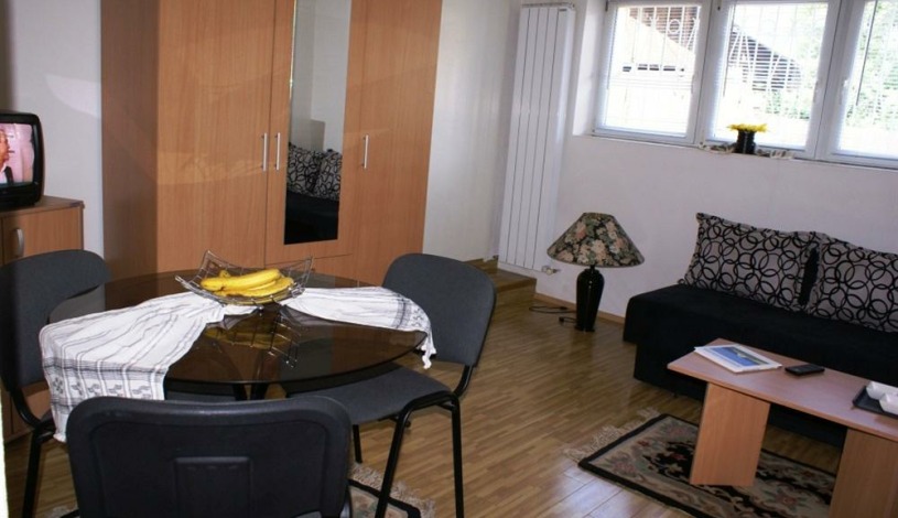 Apartment Mjedenica Sarajevo - Apt 24359