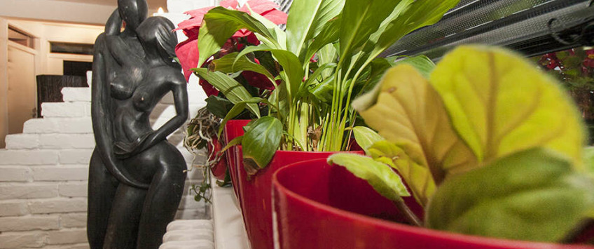 Apartment Molerova Beograd - Apt 38098