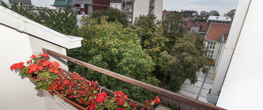 Apartment Molerova Beograd - Apt 38098