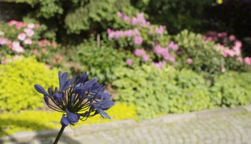 George pension Mariánské Lázně