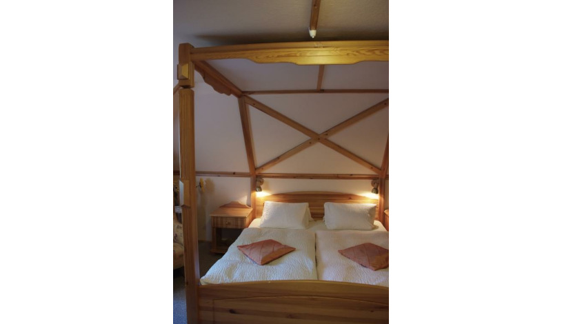 George pension Mariánské Lázně