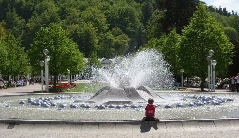 Top Apartmány - Lesní  Mariánské Lázně