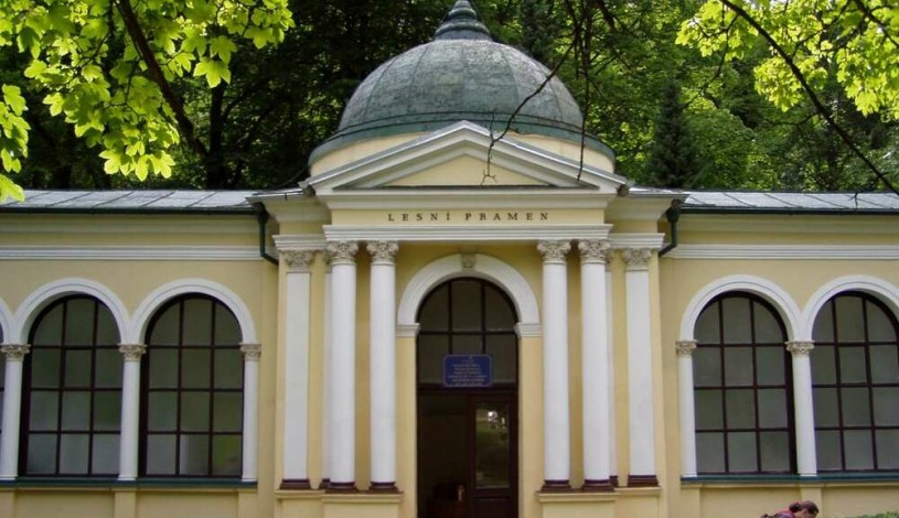 Top Apartmány - Lesní  Mariánské Lázně