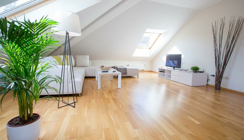 Apartment Mėsinių gatvė Vilnius - Apt 34848