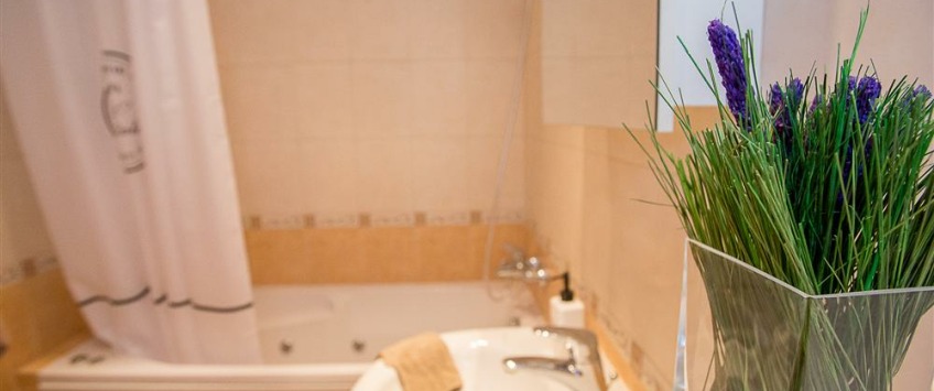 Apartment Mėsinių gatvė Vilnius - Apt 34848