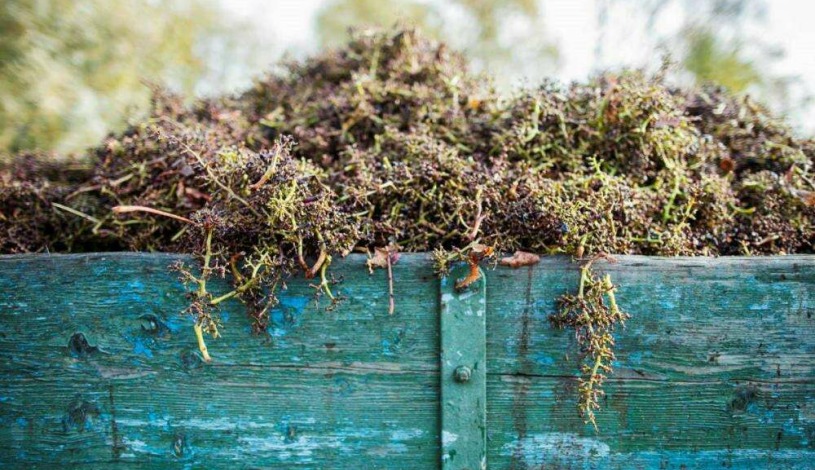 Hotel Galant**** Lednice