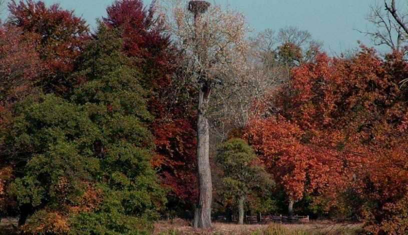 Hotel Galant**** Lednice