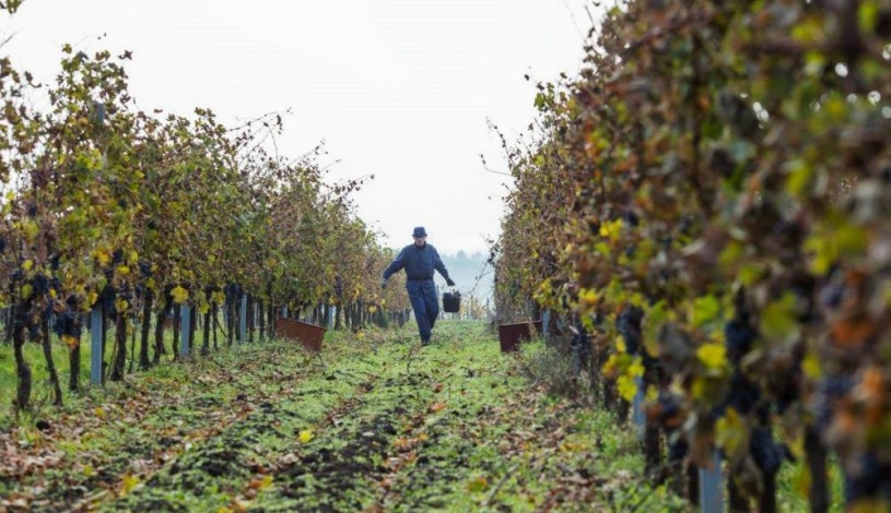 Hotel Galant**** Lednice