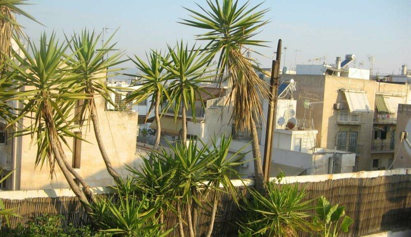 Apartment Navarchou Notara Athens - Apt 39669