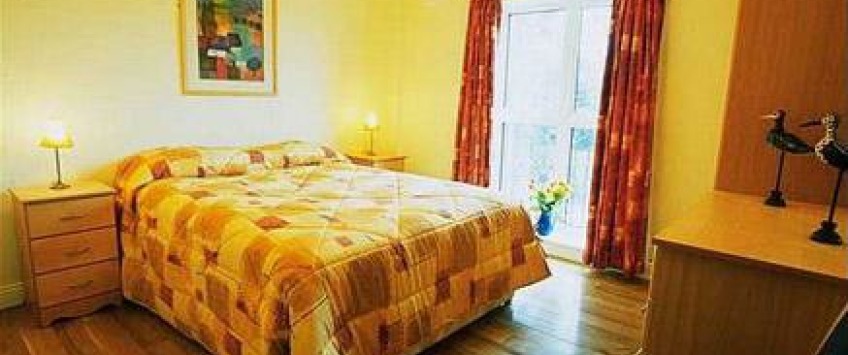 Apartment Newbridge Dr Dublin - Apt 1705