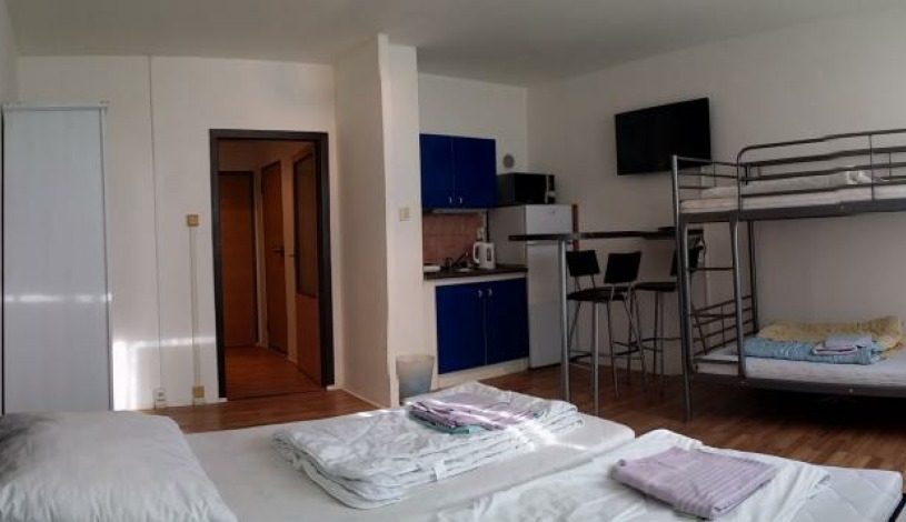 Nexus - ubytovna Praha -  4lůžkový COMFORT (vlastní KOUPELNA), GARSONKA 4 lůžkový/koupelna+kk/, APARTMÁN 2pokojový+KK