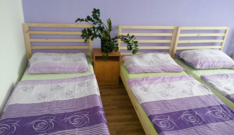 Nexus - ubytovna Praha - 2 lůžkový STANDARD+b /sdílená koupelna/,  2 lůžkový STANDARD (sdílená koupelna)