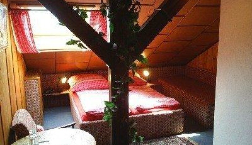 Pension Nika Český Krumlov