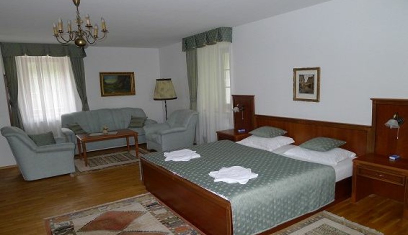 Hotel Nosál Praha - Mniejszy Apartament (Junior Suite)