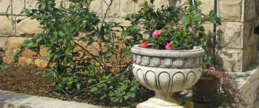 Apartment Obodska ulica Dubrovnik - Apt 16891