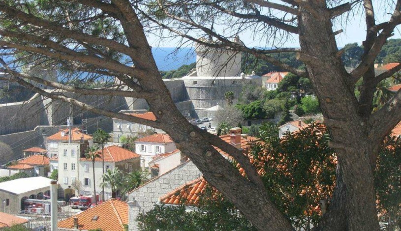 Apartment Obodska ulica Dubrovnik - Apt 16891