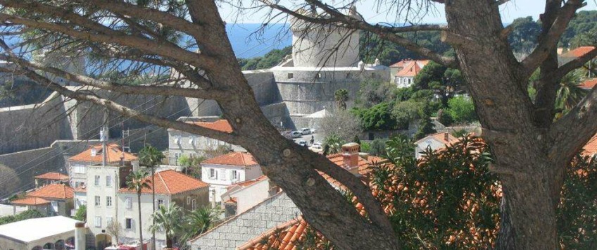 Apartment Obodska ulica Dubrovnik - Apt 16891