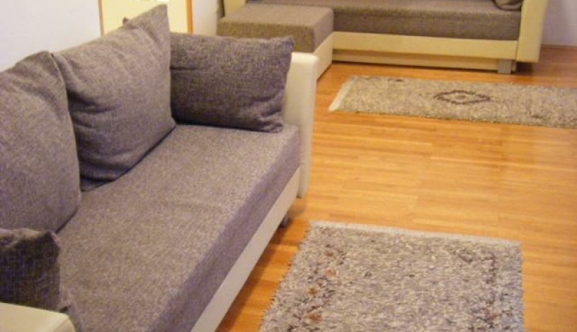 Apartment Омладинска (Youth) Beograd - Apt 22289