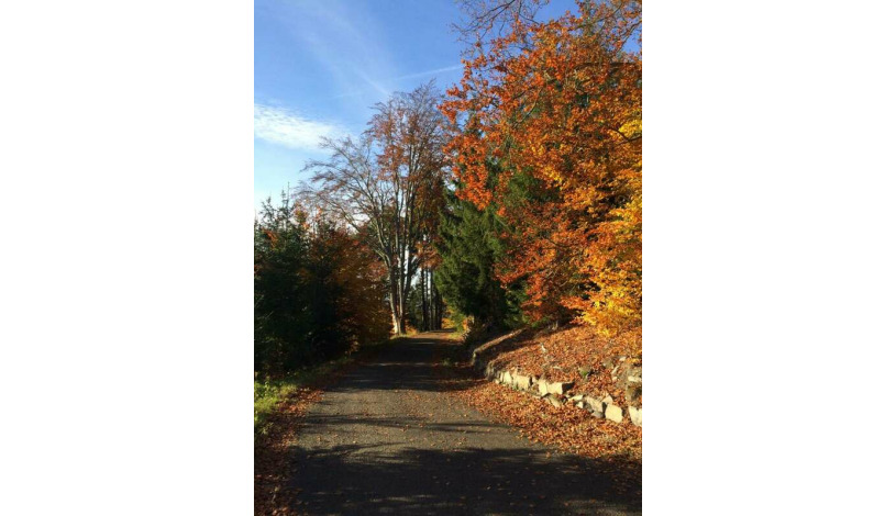 Hotel Ontario garni Karlovy Vary