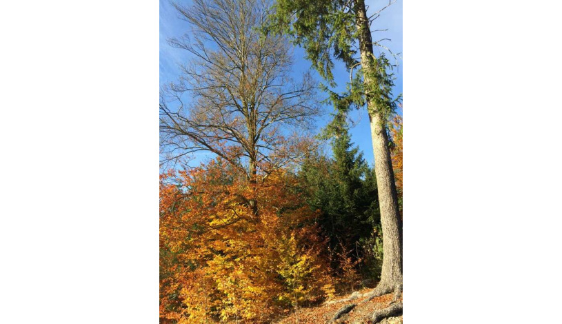 Hotel Ontario garni Karlovy Vary