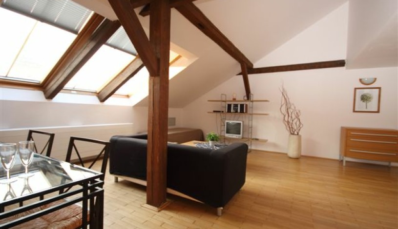 Apartamenty Praga Downtown Praha - Apartament Exclusive (1 sypialnia)