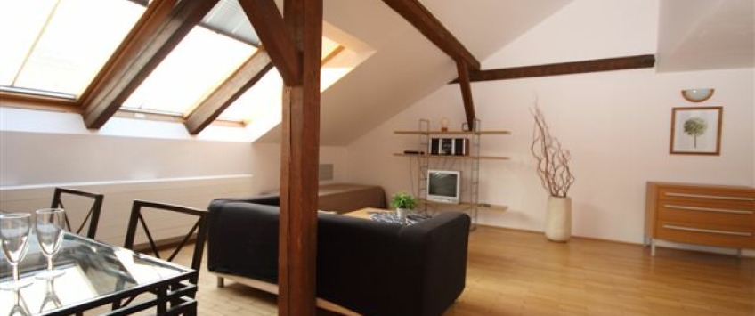 Apartments Prague Downtown Praha - 1-bedroom apartment Exclusive