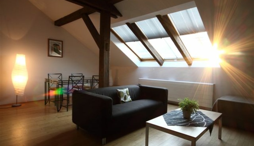 Apartamenty Praga Downtown Praha - Apartament Exclusive (1 sypialnia)