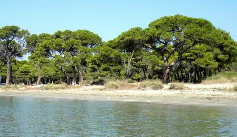 Apartment 1 Attica - Apt 23944