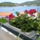 Apt 23228 - Apartment D8 Dubrovnik