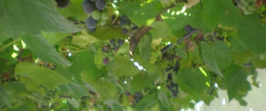 Apartment D8 Dubrovnik - Apt 23221