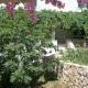 Apt 23221 - Apartment D8 Dubrovnik