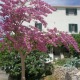 Apt 23231 - Apartment D8 Dubrovnik