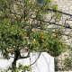 Apt 23231 - Apartment D8 Dubrovnik