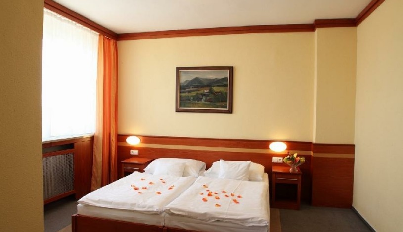 HARMONY CLUB HOTEL OSTRAVA Ostrava - Dvoulůžkový Superior