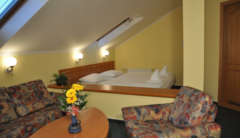 HOTEL NIKOLAS Ostrava - Studio Standard