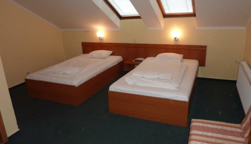 HOTEL NIKOLAS Ostrava - Dvoulůžkový pokoj Standard