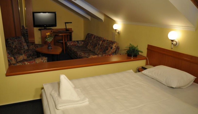 HOTEL NIKOLAS Ostrava - Studio Standard