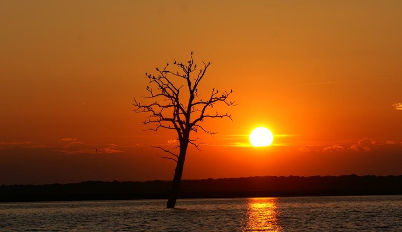 Pálavské apartmány Pavlov