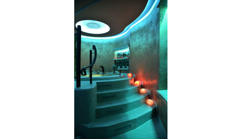 HOTEL PALCÁT TÁBOR congress & wellness hotel Tábor