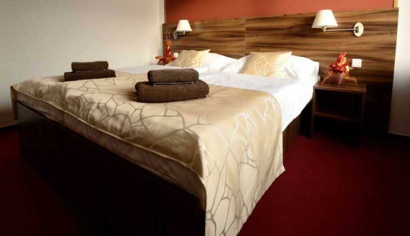 HOTEL PALCÁT TÁBOR congress & wellness hotel Tábor - Apartmán, Apartmán