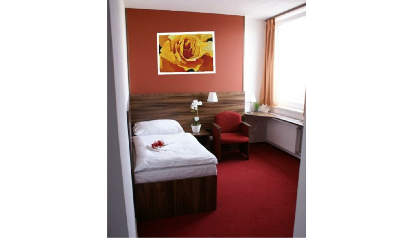 HOTEL PALCÁT TÁBOR congress & wellness hotel Tábor - Jednolůžkový